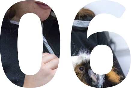 6ème étape déroulement d'une séance d'ostéopathie animale