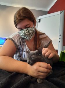 120065298_353266279344978_1848605400395815715_n