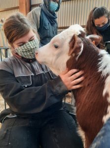 126192836_398508147860675_499608747029307228_n