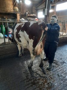 127759219_369667144129255_1853161470731302956_n