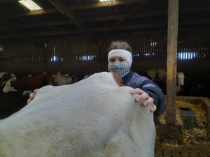 129294158_459726945422903_7307711902305717539_n