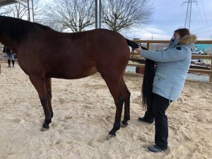 144522732_253431902966506_8014512400867630960_n