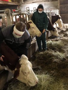 149114701_431952208028169_3950010390205624589_n