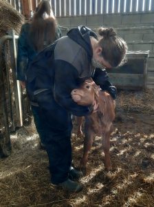 154640531_242799417538555_8609415970264344784_n