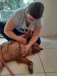 187254863_2953587248244343_7431111708688772895_n