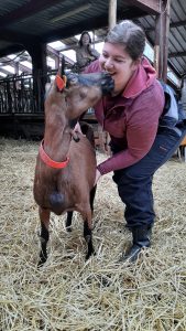 3b34260a-048d-4381-9063-ff49fa12ed57