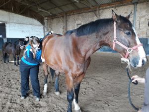 84721130_712579822605365_9205688535510679552_n