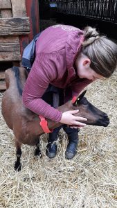 bcf1360a-b2ae-428f-8df3-cf035440399e