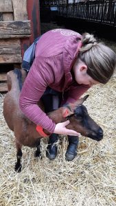 d2b7b2d3-735d-4b3a-99bd-d9ba3cdd2297