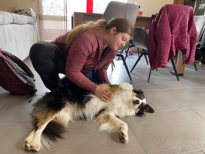 peewee mars 2024 (2)